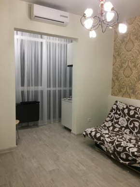 Apartment on Voikova 27